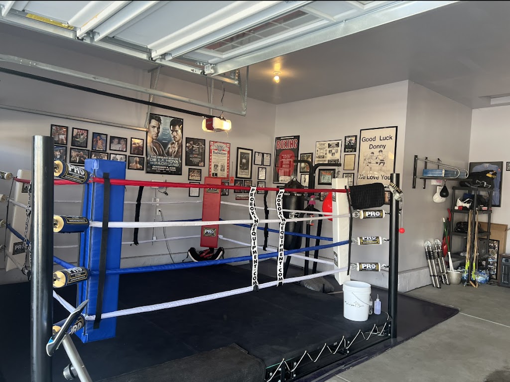  DG Boxing