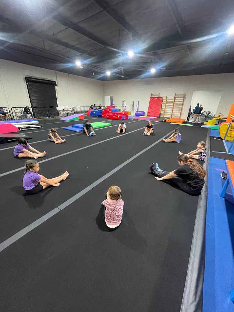  The Adaptive Athlete