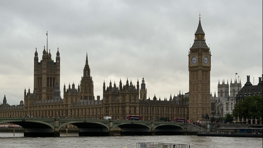 Centro de Ensenanza de Idiomas The White School