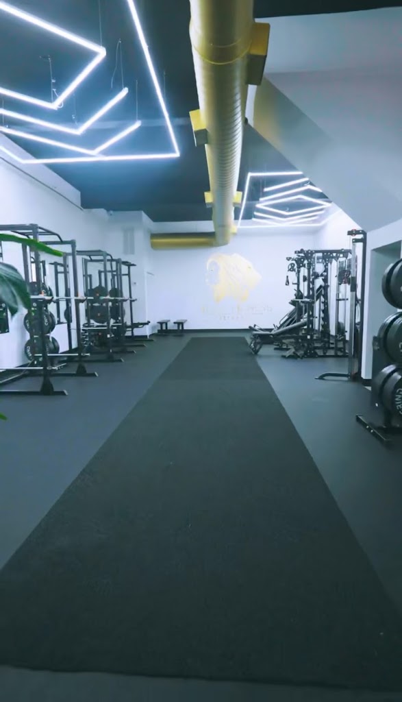  Fierce Lioness Fitness