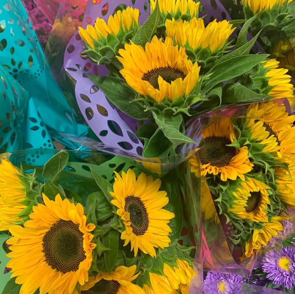 Arnie's International Flowers, Inc.