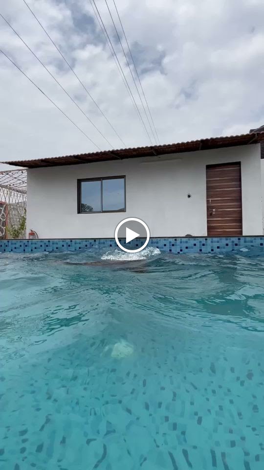 Videos