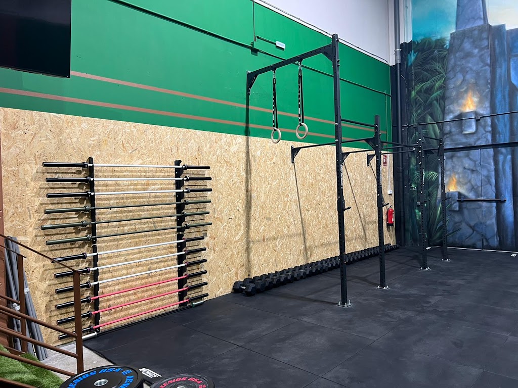 CrossFit Blue Raptor — Del propietario