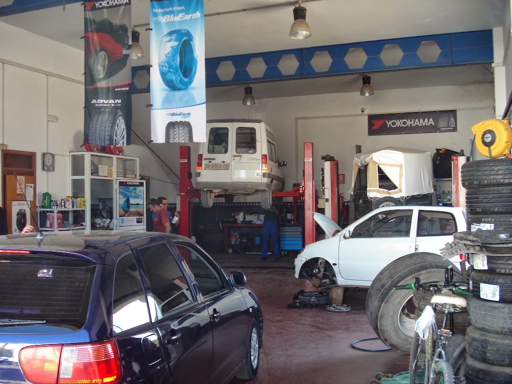 Neumaticos Fernando Cano — Interior