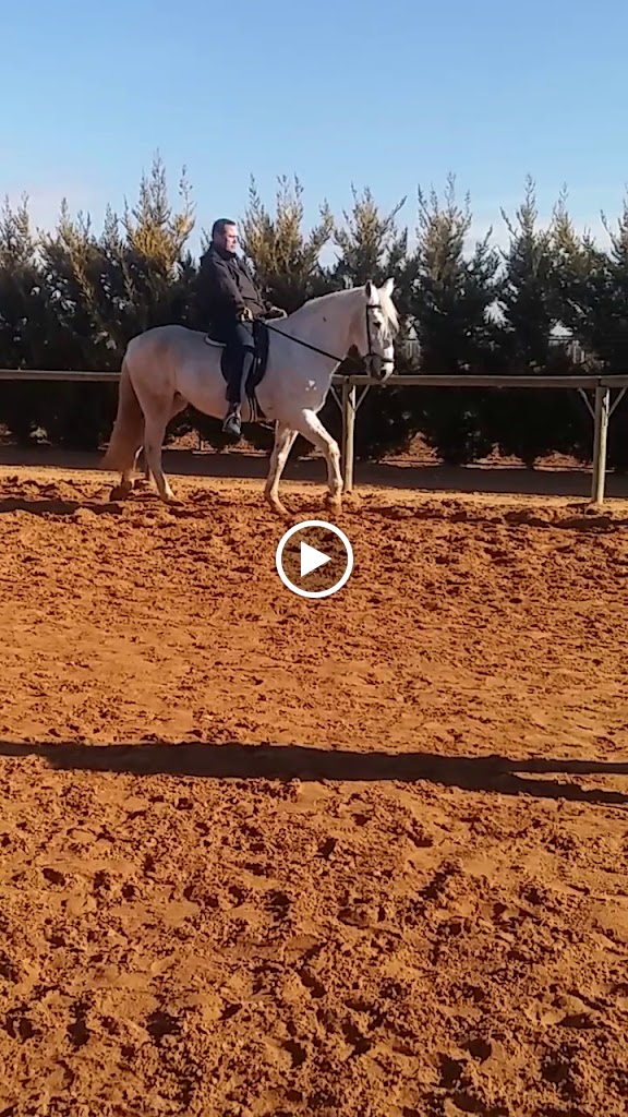 Jardines Lopez Linares — Videos