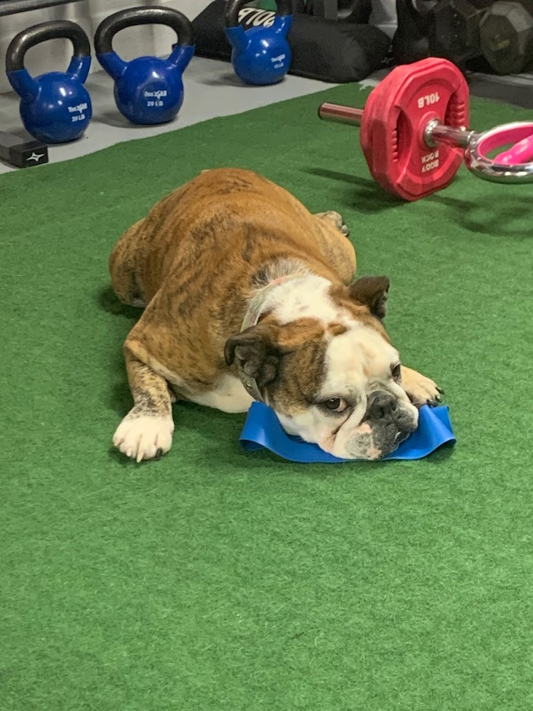  BAM Body and Mind Nutrition Counseling and Fitness Training