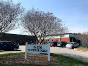 Salem Technologies Inc