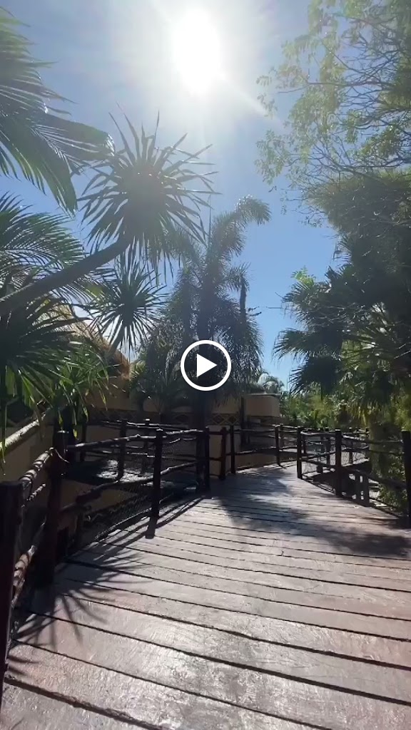 Videos