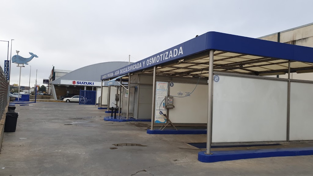 Autolavados Ballena azul