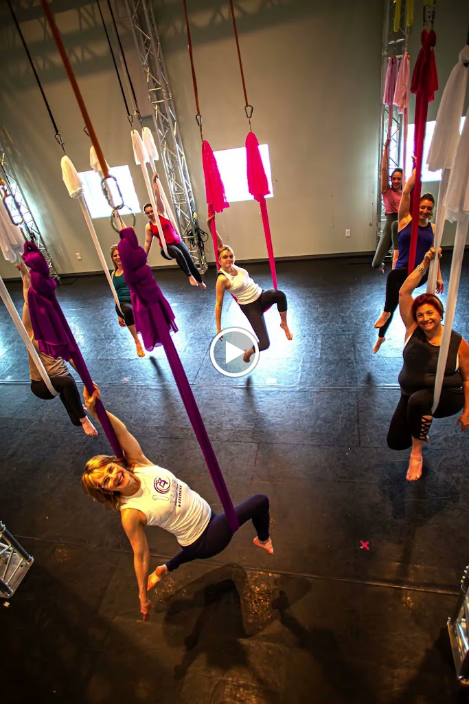 Aerial Fun & Fitness / Aerial Technique / Zina's Organics & Wellness