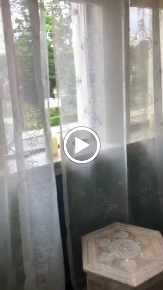  Yoga Moves - Yoga & Wellness