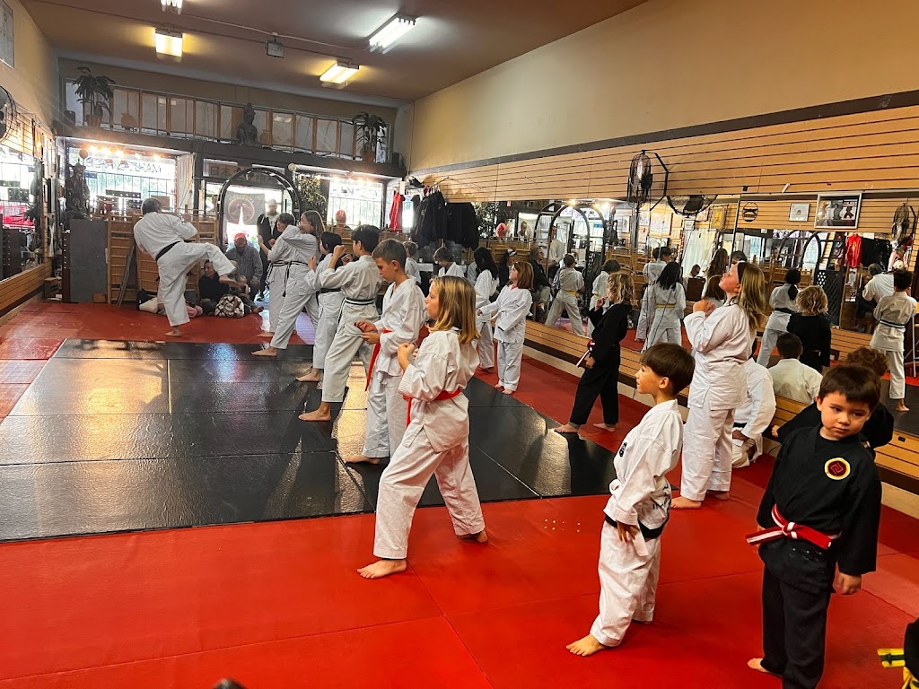  Zanshin Dojo