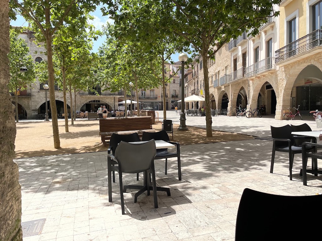 Can Pons — Ambiente