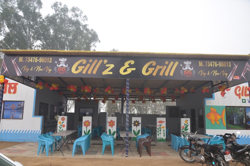 Gill Z Grill Veg Non Veg