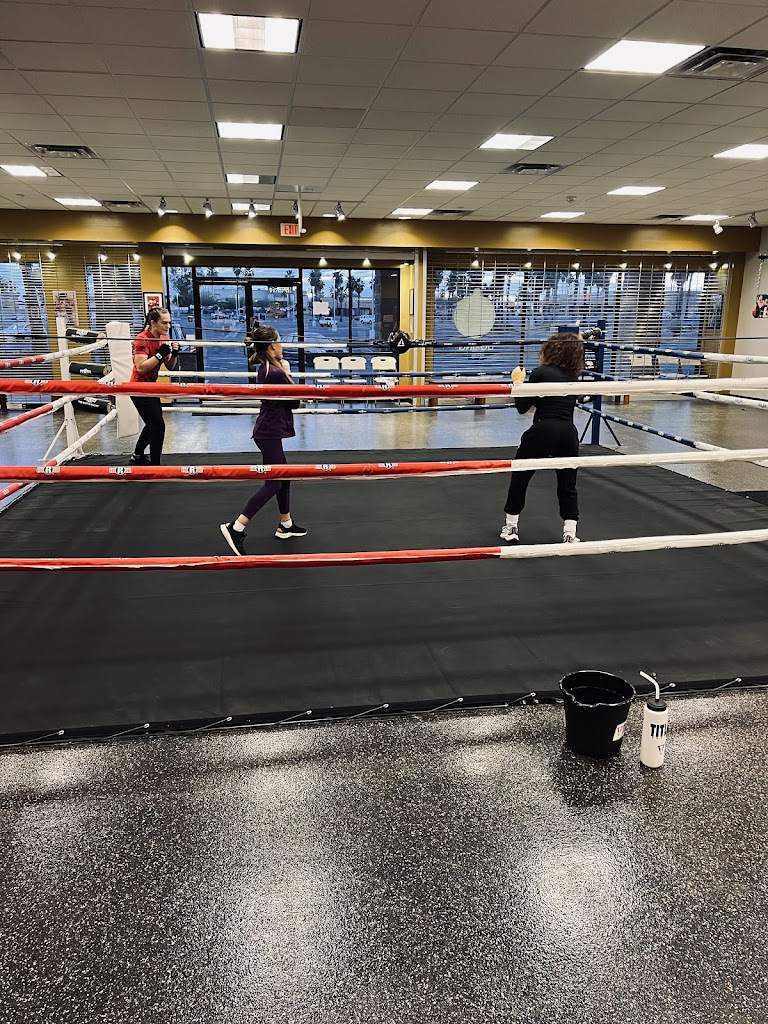  Sweet Science Boxing 520