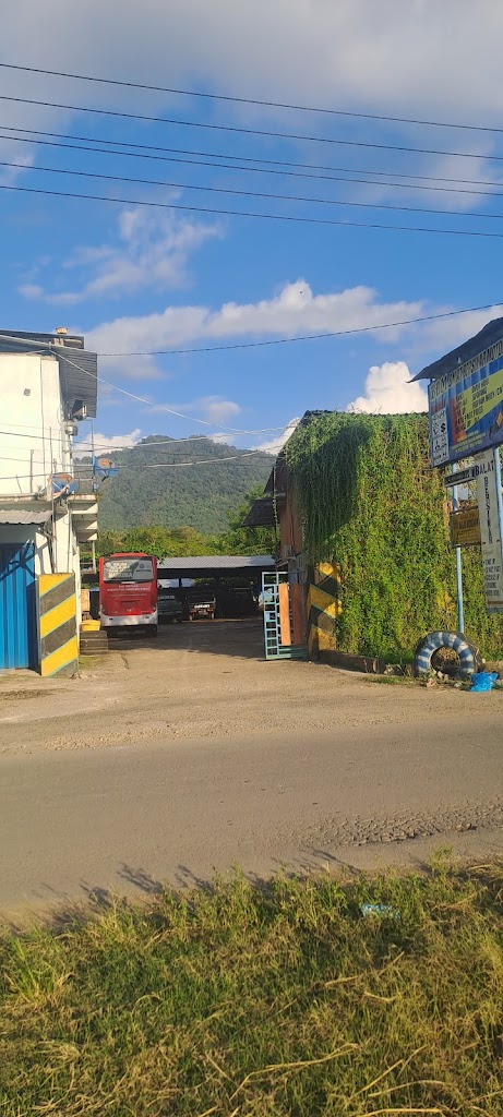 Balat Bersinar Motor