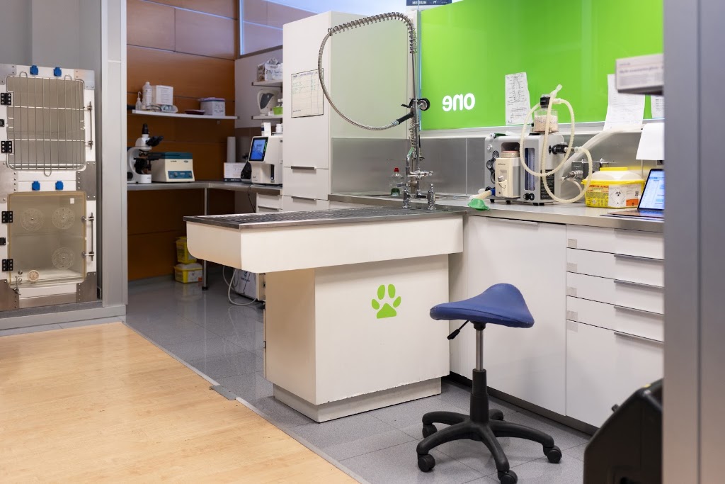 Clinica Veterinaria ONE - Veteando con Maria — Del propietario
