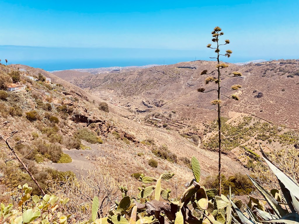 Camino Las Cordilleras