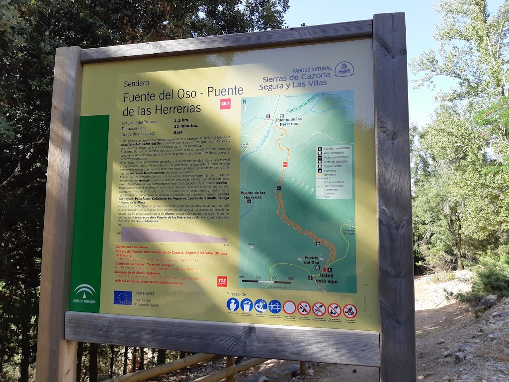 Fuente del Oso