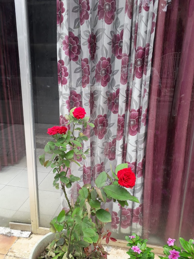 Cute Beauty Salon And Spa