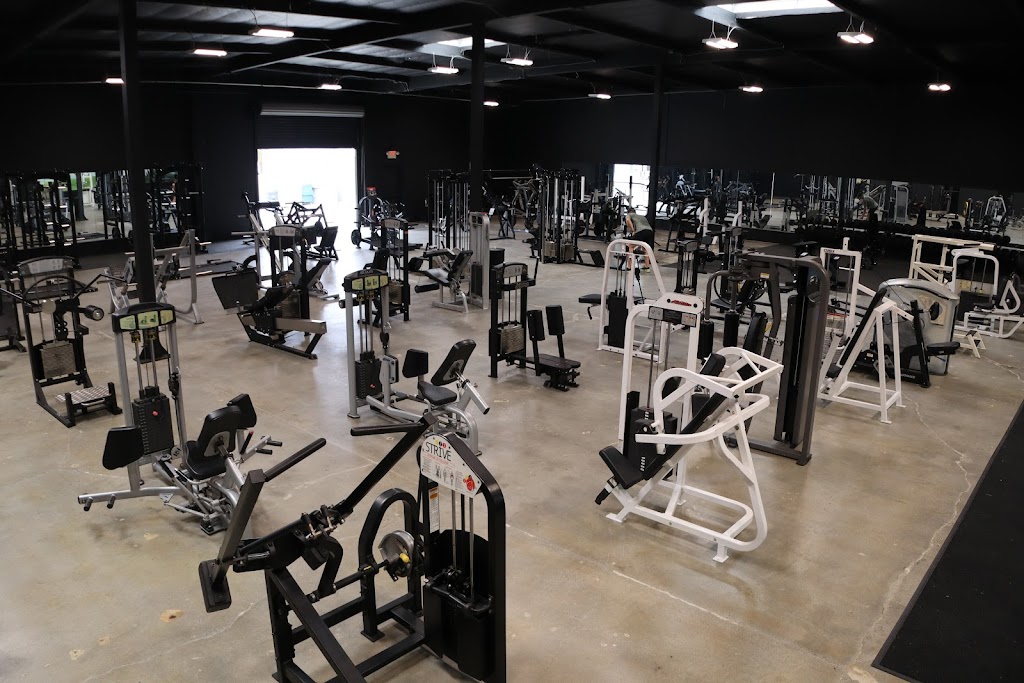  SJC strength and vitality