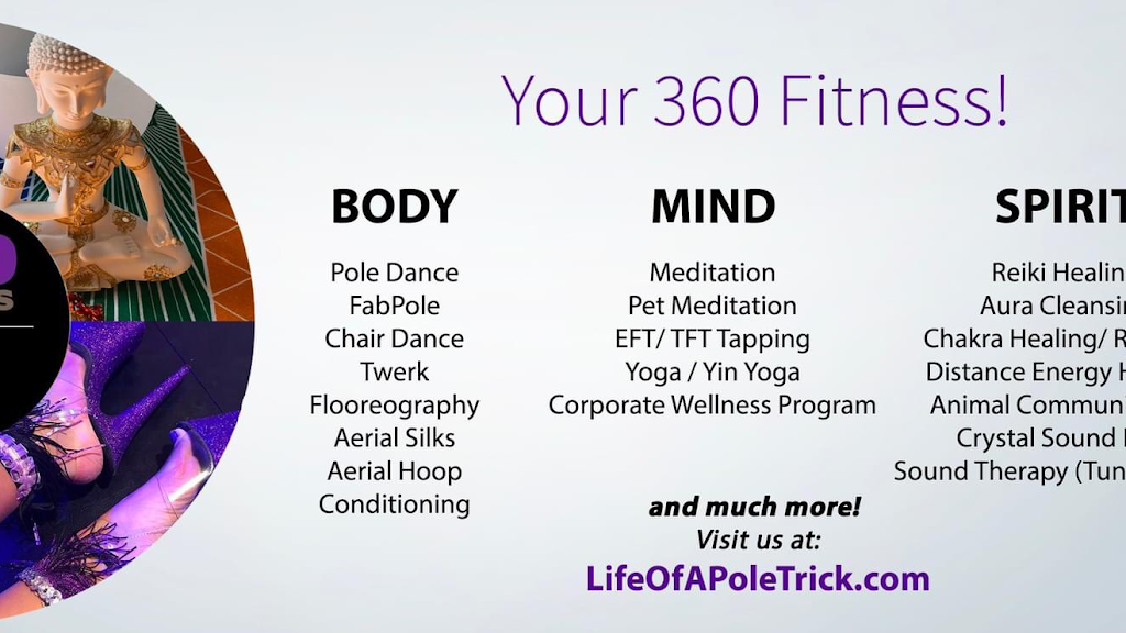  Life Of A Pole Trick Studio