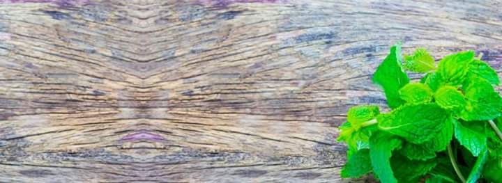 Menta Centro de Estetica