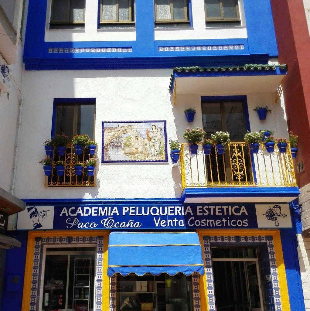 Academia de Peluqueria y Estetica Paco Ocana