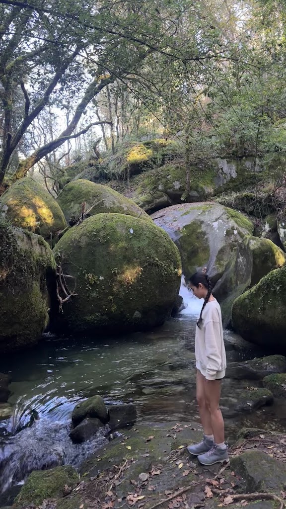 Sendero de Rio Minor inicio
