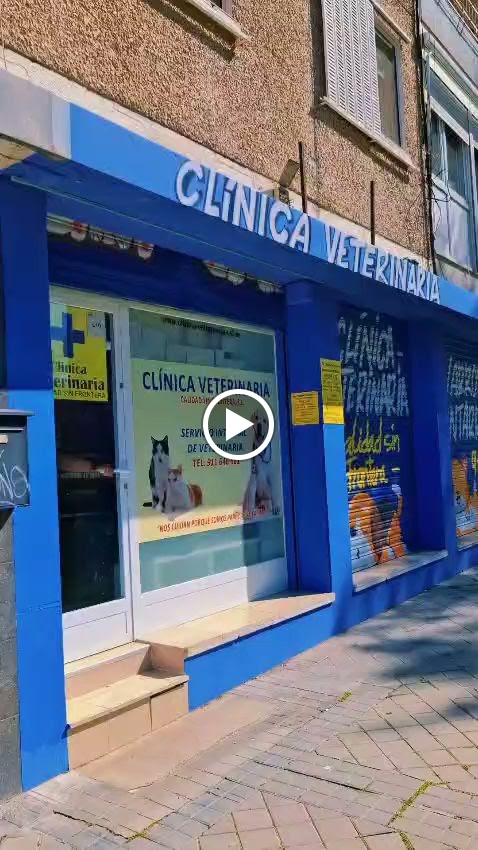 Clinica Veterinaria Calidad sin Frontera Moratalaz — Del propietario