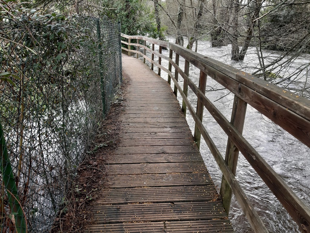 Senda fluvial do Lona