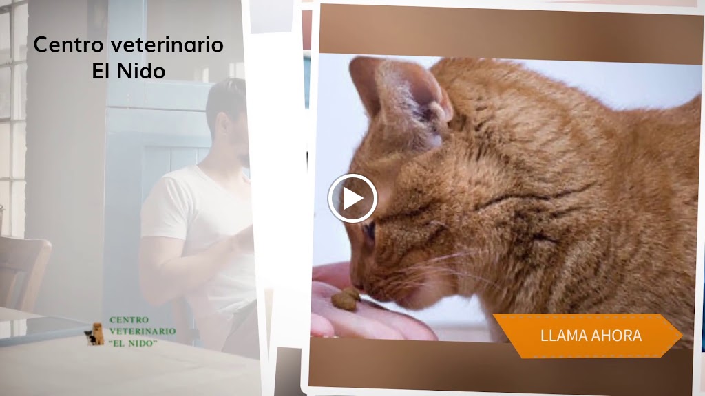 centro veterinario El Nido — Del propietario
