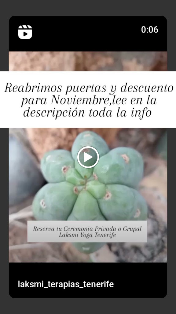 laksmi yoga Tenerife — Videos