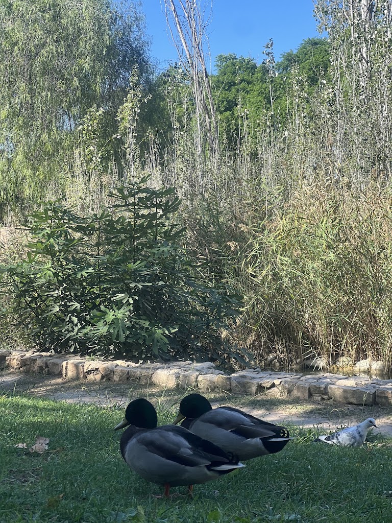 Parque infantil parque de cabecera.