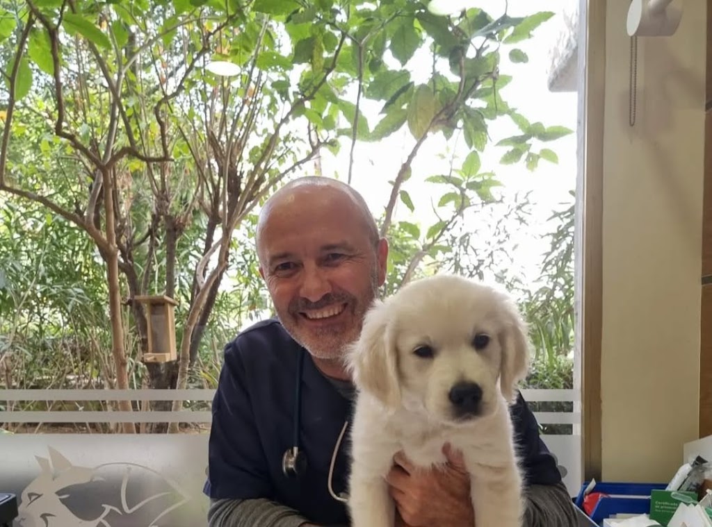 Clinica Veterinaria Zarpas y Bigotes — Del propietario
