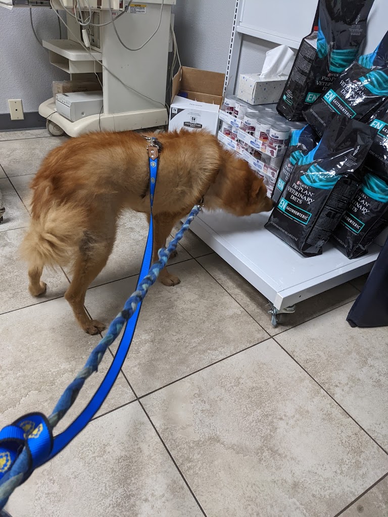 Canyon Veterinary Hospital