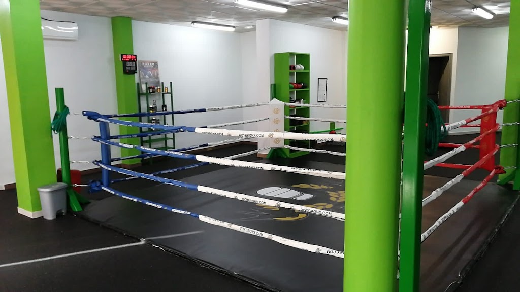 Escuela de Boxeo THE BIG PUSH