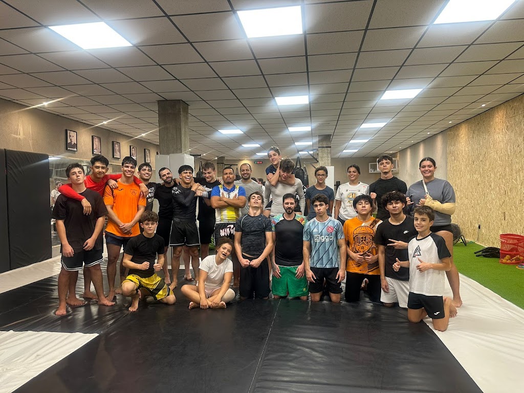 AAM-Academia de Artes Marciales