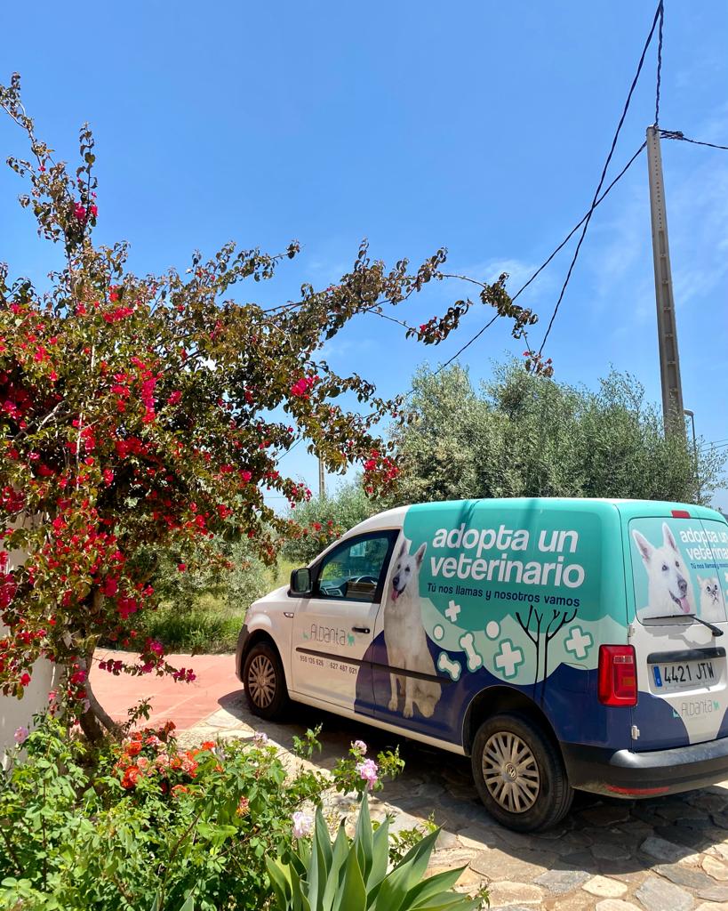 Albanta Veterinarios