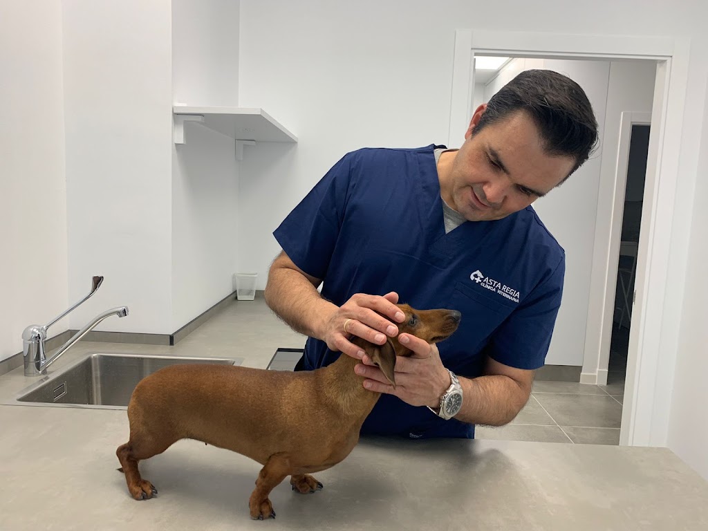 Clinica Veterinaria Asta Regia