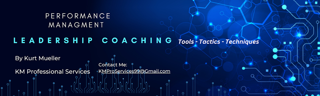 KM Professional Services