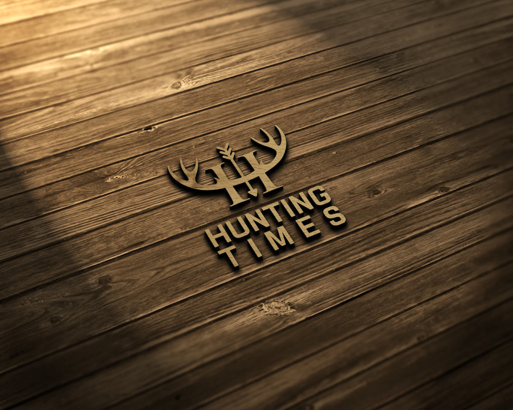 Design Pro Web Solutions Llc