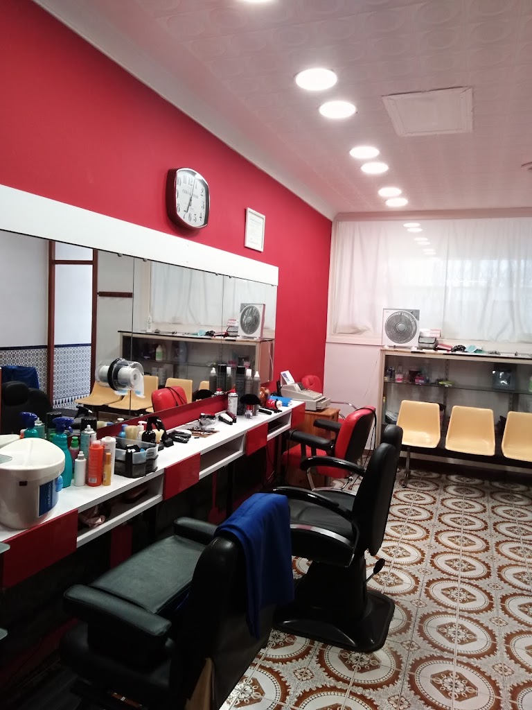 Santos Peluquero Peluqueria Unisex