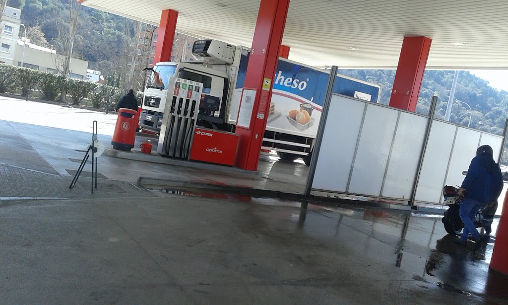 Estacion de servicio Cepsa BASEVA — Surtidor de combustible
