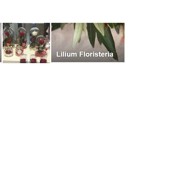 Floristeria Lilium — Del propietario