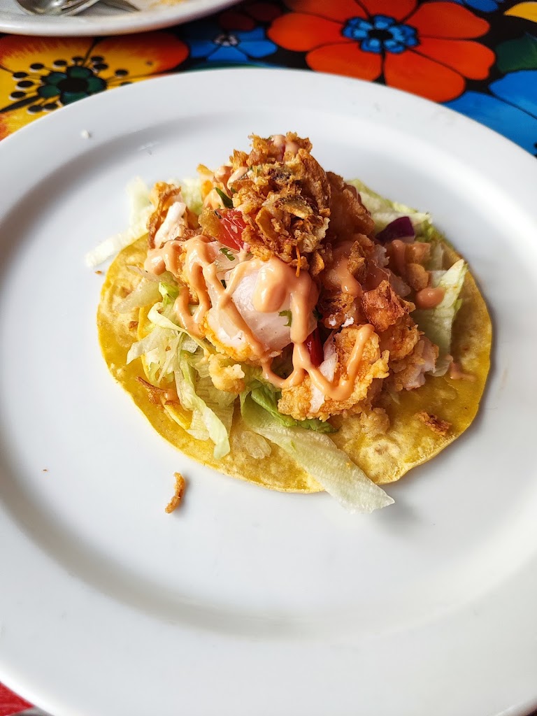 EL YUCATECO PELANA — Mas recientes