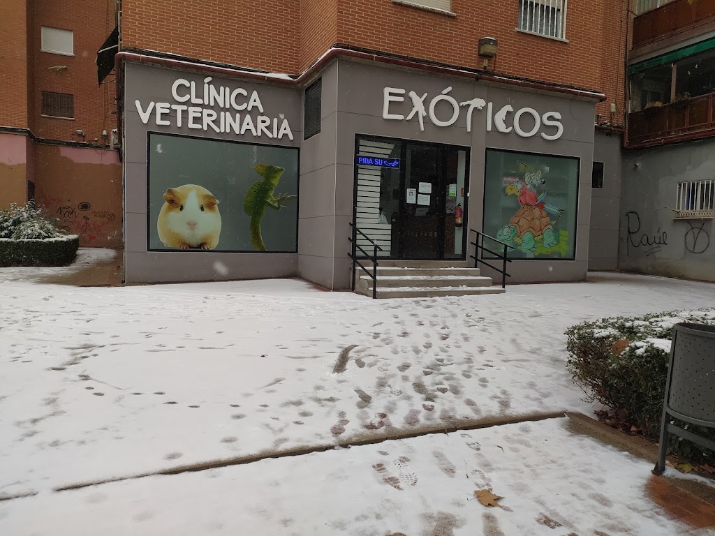 Clinica Veterinaria Exoticos — Del propietario