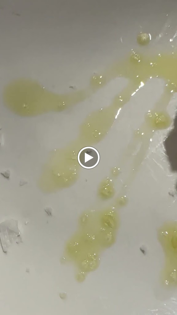 Restaurante El Figon — Videos