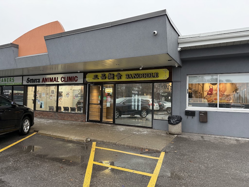 3A Noodle 三品麵食 (North York)