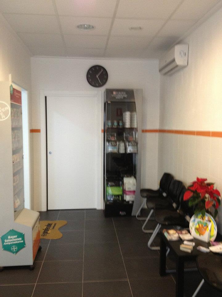 Animalets Consultori Veterinari — Del propietario